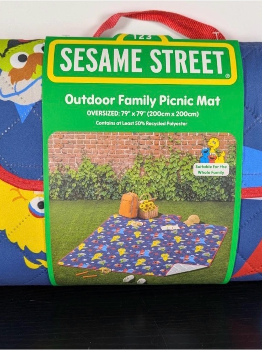 ELMO SESAME STREET OUTDOOR FAMILY PICINIC MAT BLANKET 79" X 79" Friends